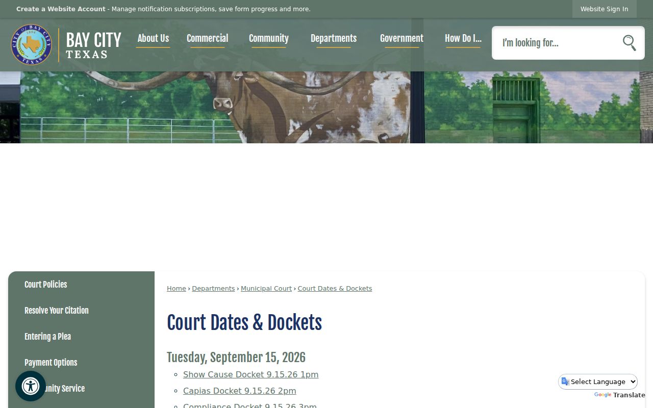 Bay City Municipal Court docket headings for capias, compliance, and other settings